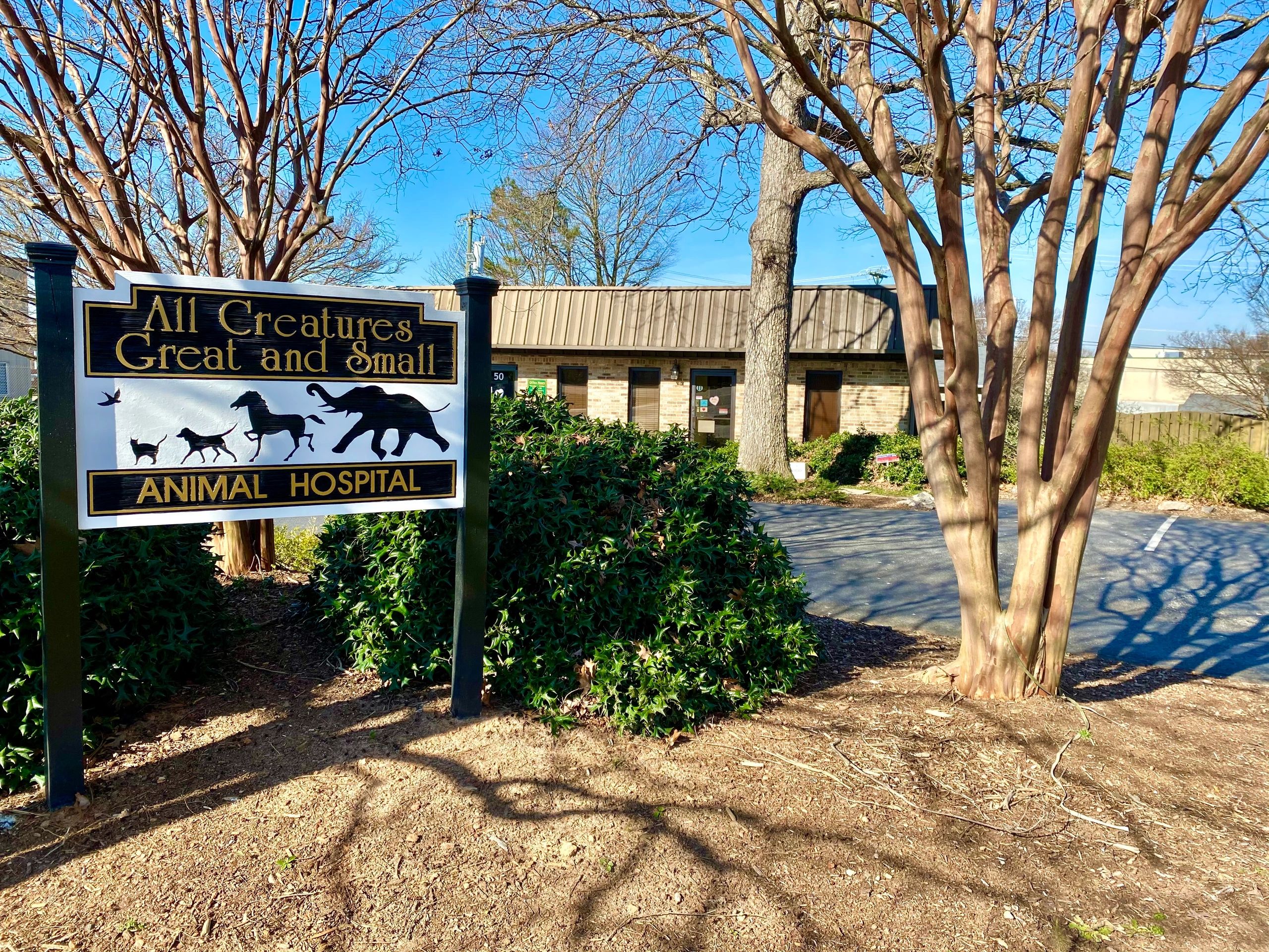 Veterinarian All Creatures Great and Small Animal Hospital